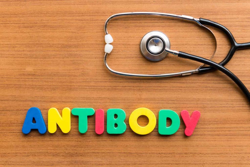 Sayuran untuk Meningkatkan Antibodi Tubuh